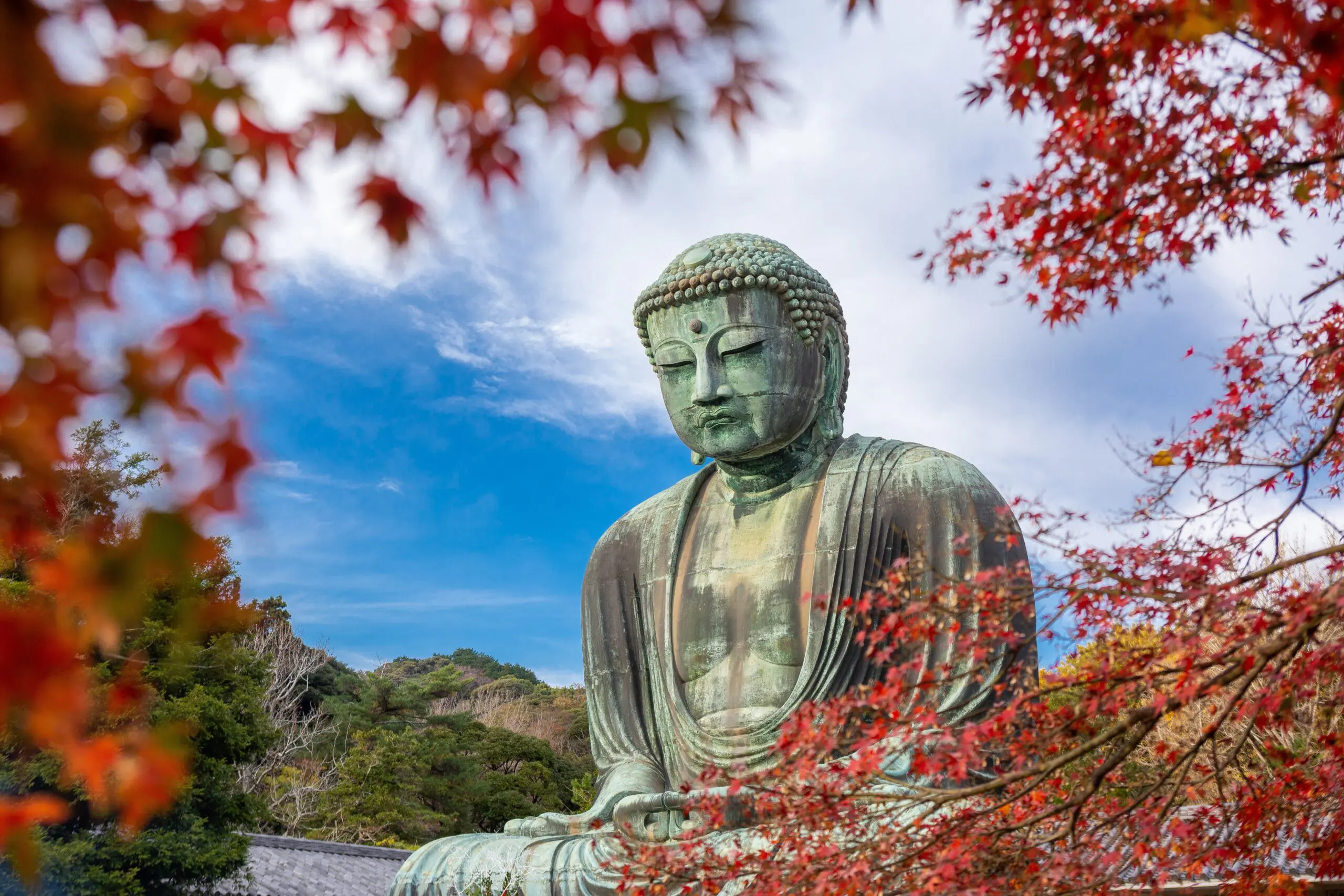 The Case for Hiring a Nikko Tour Guide on Your Japan Trip